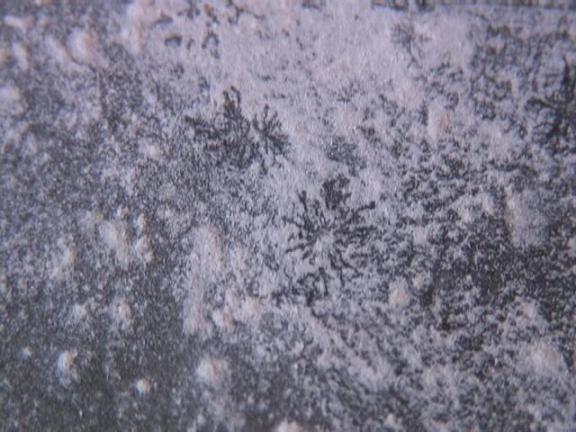 Deep Negative Spider