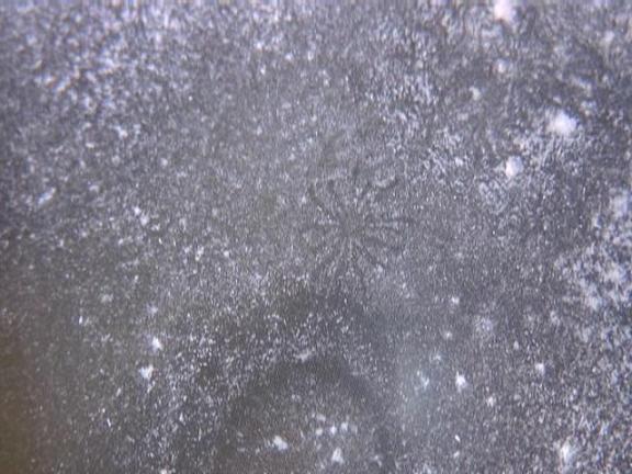 Faint Negative Spider