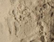 click for larger image