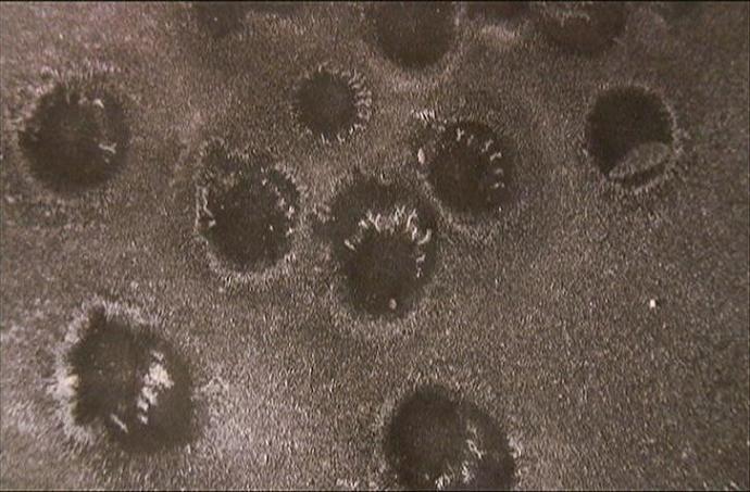 Link to Discharge pattern album